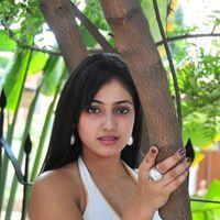 Haripriya New Photo Shoot - Pictures | Picture 115665